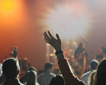 People Audience Music Entertainment Crowd Concert