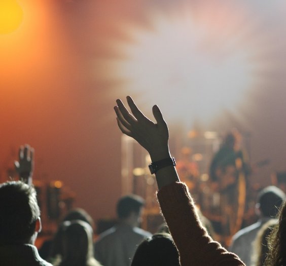 People Audience Music Entertainment Crowd Concert